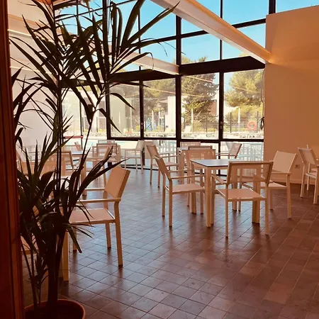 Ξενοδοχείο Sunclub Calavinya - Adults Recommended 4*